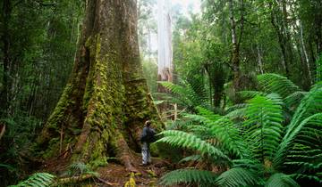 Walk Bruny Island & Tasmania's South West (6 destinations)