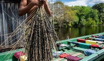 Cruise in the Heart of the Original Amazon - An exploration deep into the jungle, between Brazil and Colombia (port-to-port cruise)