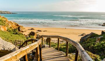La Namibie rencontre l'Afrique du Sud : Desert Roadtrip & Wildlife Glamping (from Windhoek to Le Cap)