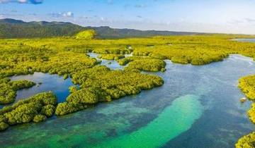Along the Amazon and the Rio Negro, An Exclusive Cruise through Pristine and Hidden Nature (port-to-port cruise)