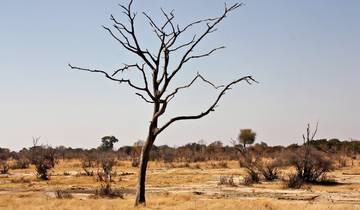 Victoria Falls & Safari Adventure from Victoria Falls/to Kasane Tour
