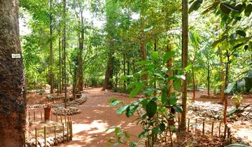 Sri Lanka, Het betoverde eiland, Spaanstalige gids-rondreis