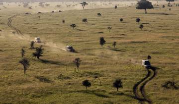 14 Days Serengeti, Masai Mara & Gorilla Trekking Experience
