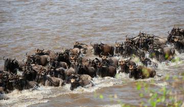 14 Days Serengeti, Masai Mara & Gorilla Trekking Experience