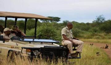 3-Day Safari Adventure in Madikwe Game Reserve