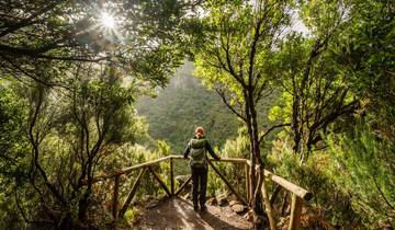 Premium Walking & Hiking in Madeira