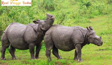 Kaziranga & Nameri Wildlife Tour Tour