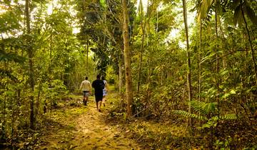 7-Day Luxury Amazon and Pantanal
