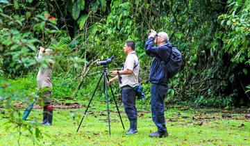 Private 7 Days Costa Rica Rainforest Vacation Tour, Daily Start & Exclusive Guide