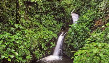 Tortuguero, Volcanoes & Cloud Forest Deluxe