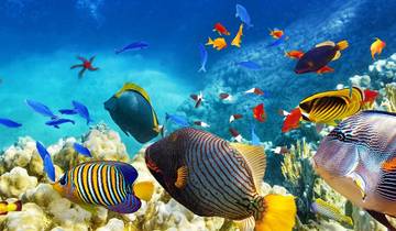 Tropical Queensland : De Cairns à la Gold Coast (2025/2026)