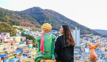 Aventura de 8 días en Corea del Sur: De Seúl a Busan (guía y conductor privados）Family Tour - Personalizable