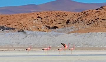 Naturwunder der Anden