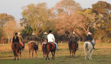 8-Day Luxury Amazon, Cerrado and Northern Pantanal Tour