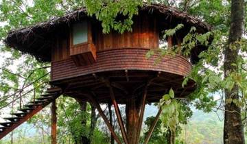 Kerala : Circuit de 6 jours avec séjour dans une cabane dans les arbres et promenade en bateau à moteur circuit