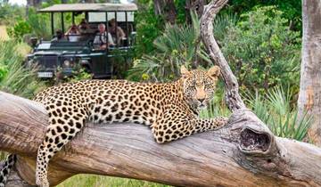 South Africa Discovery