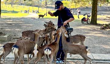 Classic 7 Days Japan Mini Group Tour with Family, Max 6 People