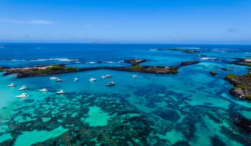 Ecuador naar Galápagos: Junglebeats & eilandwarmte