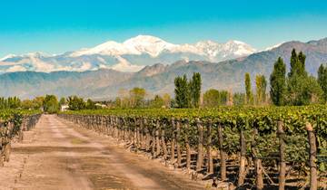 Forfait de bienvenue à Mendoza (3 jours)