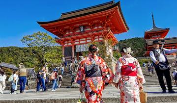 11 Days Japan Mini Group Tour with Family, Max 6 People and 3&4 Stars Hotels