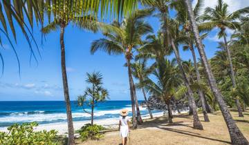 Bonjour on the Creole Volcanic Island