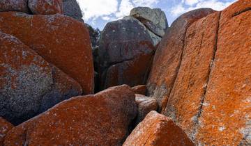Walk Tasmania's Bay of Fires (3 destinations)