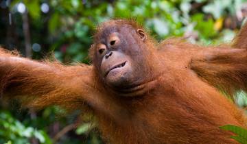 Borneo Family Holiday (from Kota Kinabalu to Sandakan)