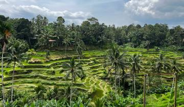 Bali’s Wild Heart: Soul, Surf & Spirit