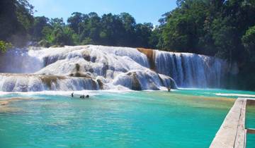 Best of Chiapas & Yucatan with the Maya Train, Italian-speaking guide