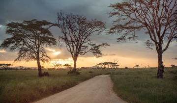 L'incroyable Tanzanie : du Serengeti à Zanzibar