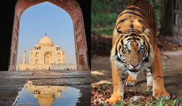 3 Days Taj Mahal Tour with Ranthambore Tiger Safari