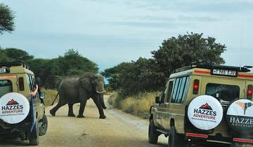 6 jours de safari en avion au Serengeti pour la migration des gnous circuit