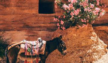 14-Day Cultural Tour: Turkey, Egypt & Jordan – Includes International Flights