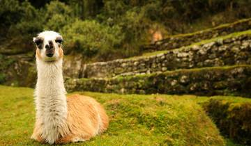 Salkantay Peru Inka Trail Private 7 Days Tour