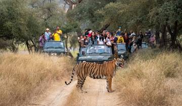 4 Days Golden Triangle with Ranthambore Safari with Taj Mahal Sunrise Tour