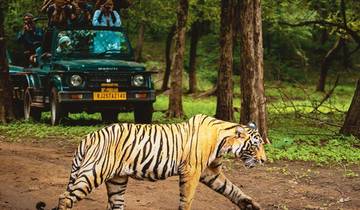 Goldenes Dreieck mit Ranthambore, Udaipur, Taj Mahal, Tiger, Seen & mehr 8 Tage Rundreise