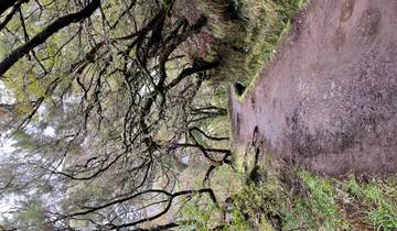 Endless Spring, Timeless Beauty – Madeira Awaits