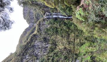Endless Spring, Timeless Beauty – Madeira Awaits