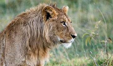 Safari de 2 jours en Tanzanie circuit
