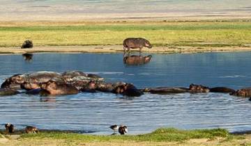 4 Days Tanzania Safari Tour