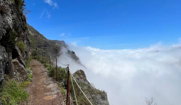 Active Madeira