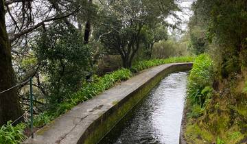 Active Madeira
