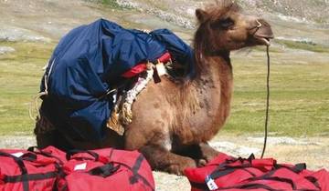 18 Days in Mongolia, incl. Ulaanbaatar and Altai Mountains