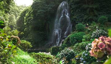 Le côté sauvage des Açores : perdu dans la verdure