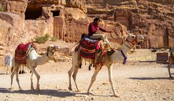 La Jordanie : La magie de Pétra et les trésors des anciennes civilisations circuit