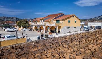 Peljesac: Between the Vineyards and the Sea