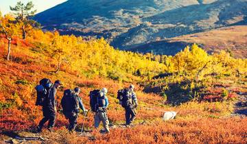 3 Days Wild Rovaniemi Summer Vacation in Finland