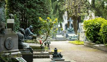 Lugano for All Ages: Adventures in the Alps