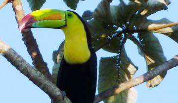 Belize & Guatemala round trip - 16 days through the hidden heart of Central America