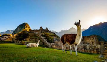 À la poursuite des merveilles : Machu Picchu et les Galapagos circuit